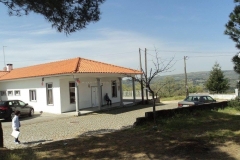 Galeria-16